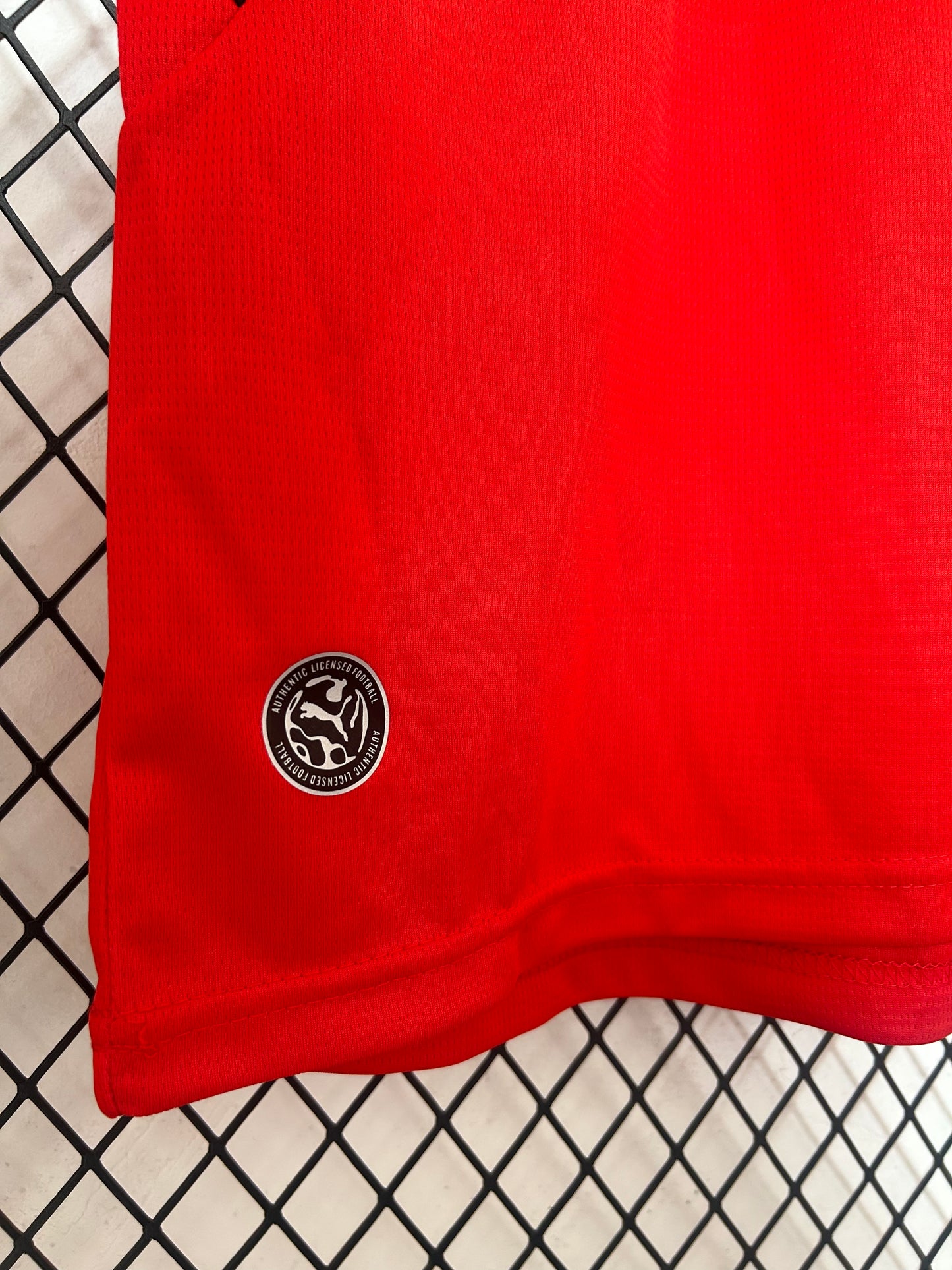 Camiseta Austria 2025/2026 Local – Roja Oficial