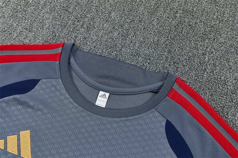 Conjunto Bayern Múnich Entrenamiento Gris 26/27