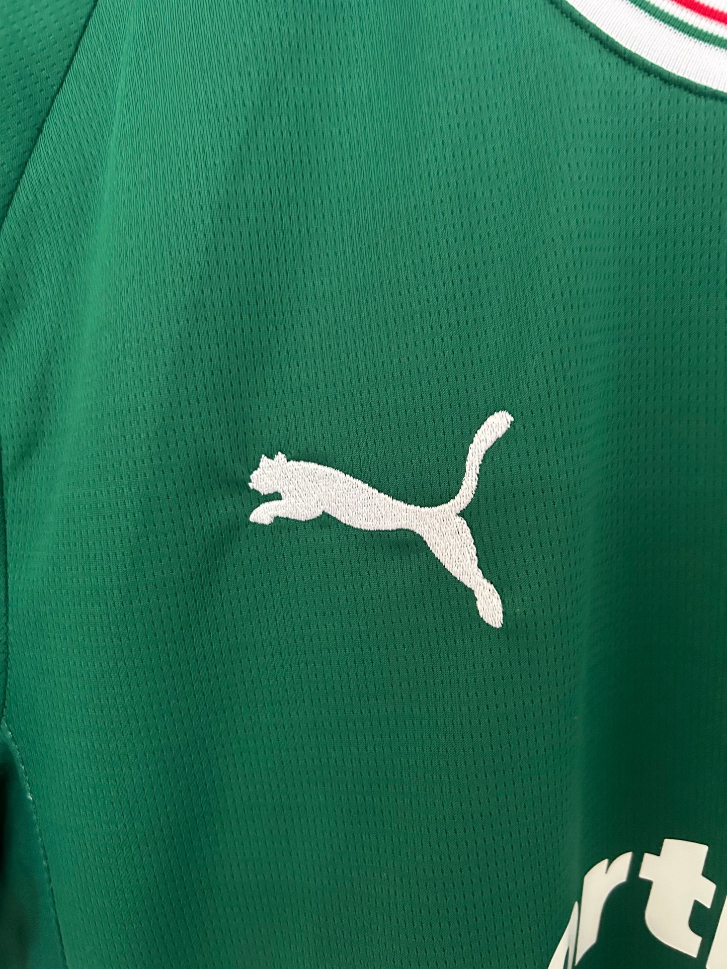 Camiseta Palmeiras 2026/2027 Local – Verde Oficial Puma