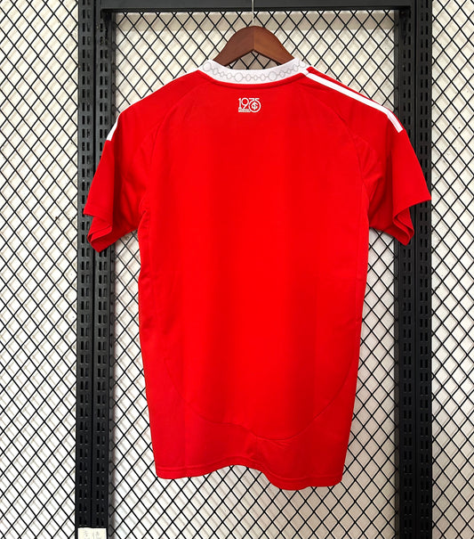 CAMISETA INTERNACIONAL DE PORTO ALEGRE 25/26