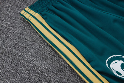 Chándal Arabia Saudí Entrenamiento 26/27 – Verde, Morado y Dorado
