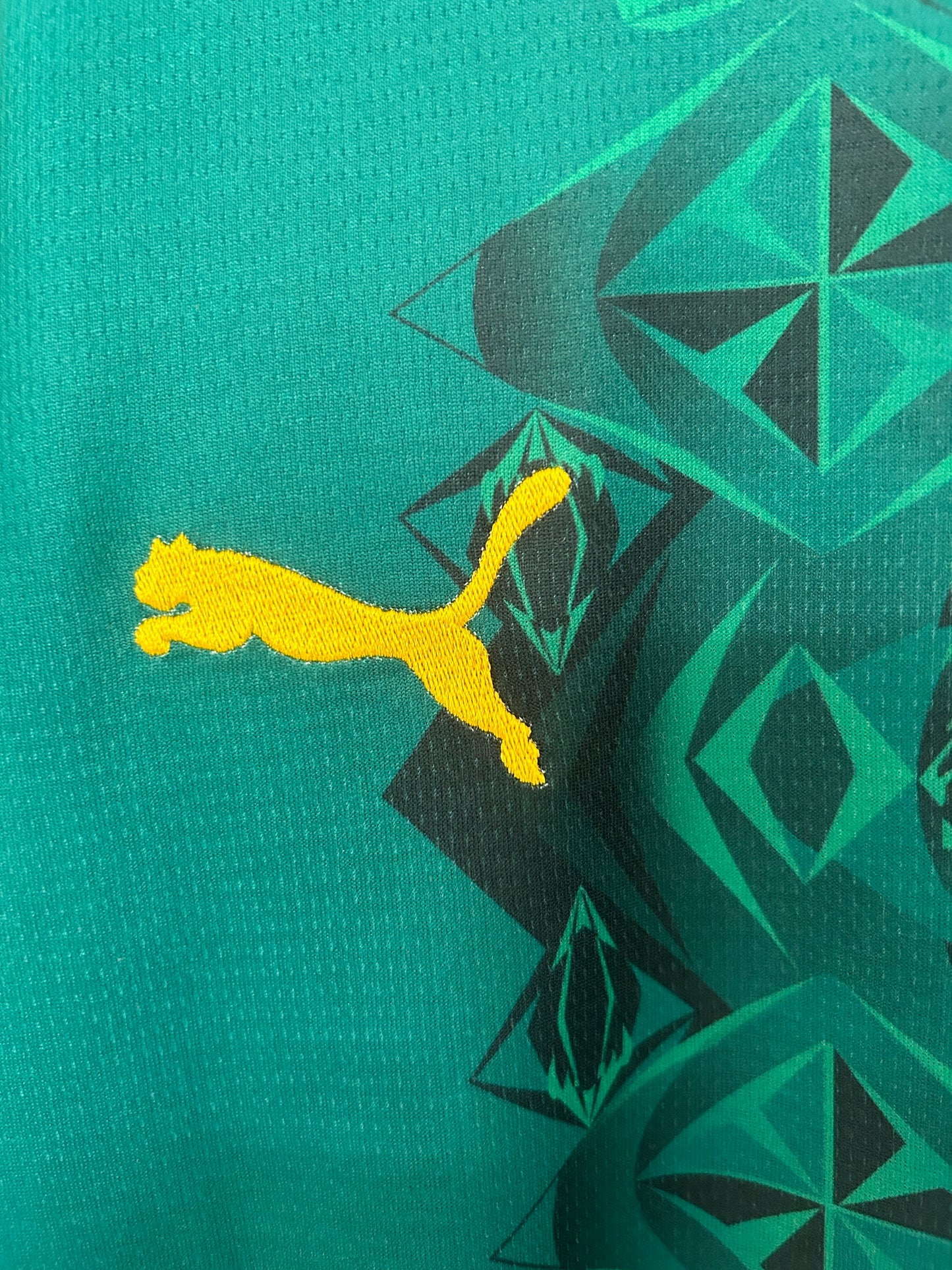 Camiseta Senegal 2025/2026 Local – Verde León Africano