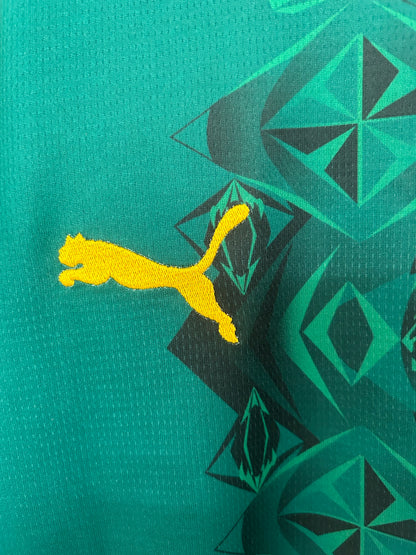 Camiseta Senegal 2025/2026 Local – Verde León Africano