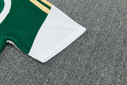 Conjunto Italia 2025/2026 – Equipación de Entrenamiento Verde Premium