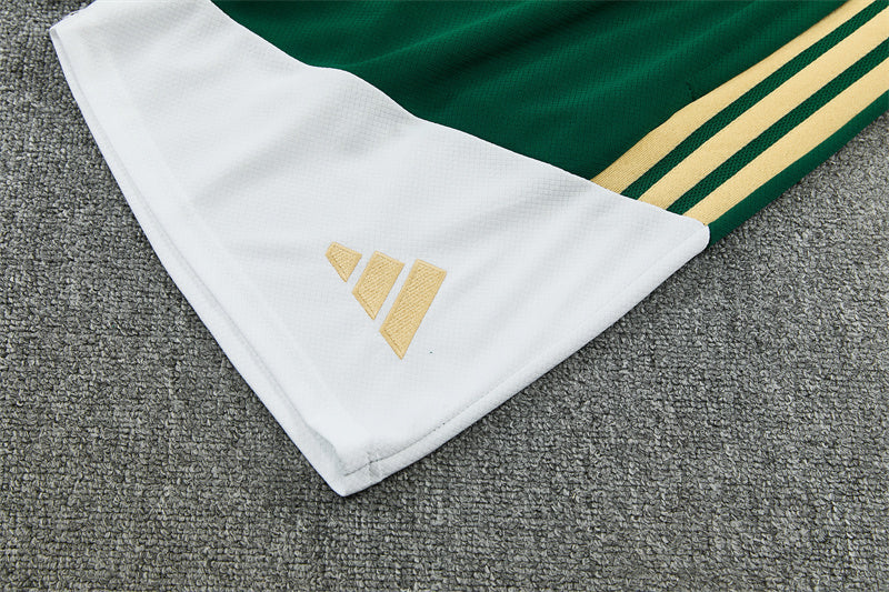 Conjunto Italia 2025/2026 – Equipación de Entrenamiento Verde Premium