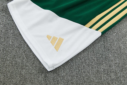 Conjunto Italia 2025/2026 – Equipación de Entrenamiento Verde Premium