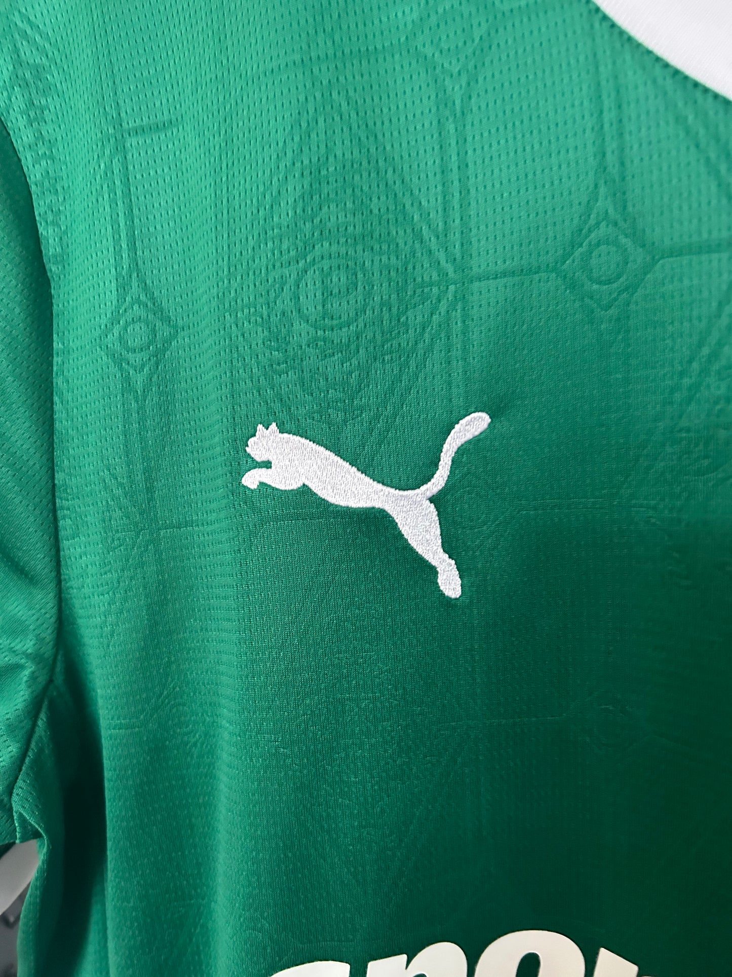 CAMISETA PALMEIRAS 25/26 – HOME KIT “ALMA VERDÃO”
