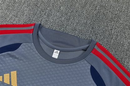 Conjunto Bayern Múnich Entrenamiento Gris 26/27