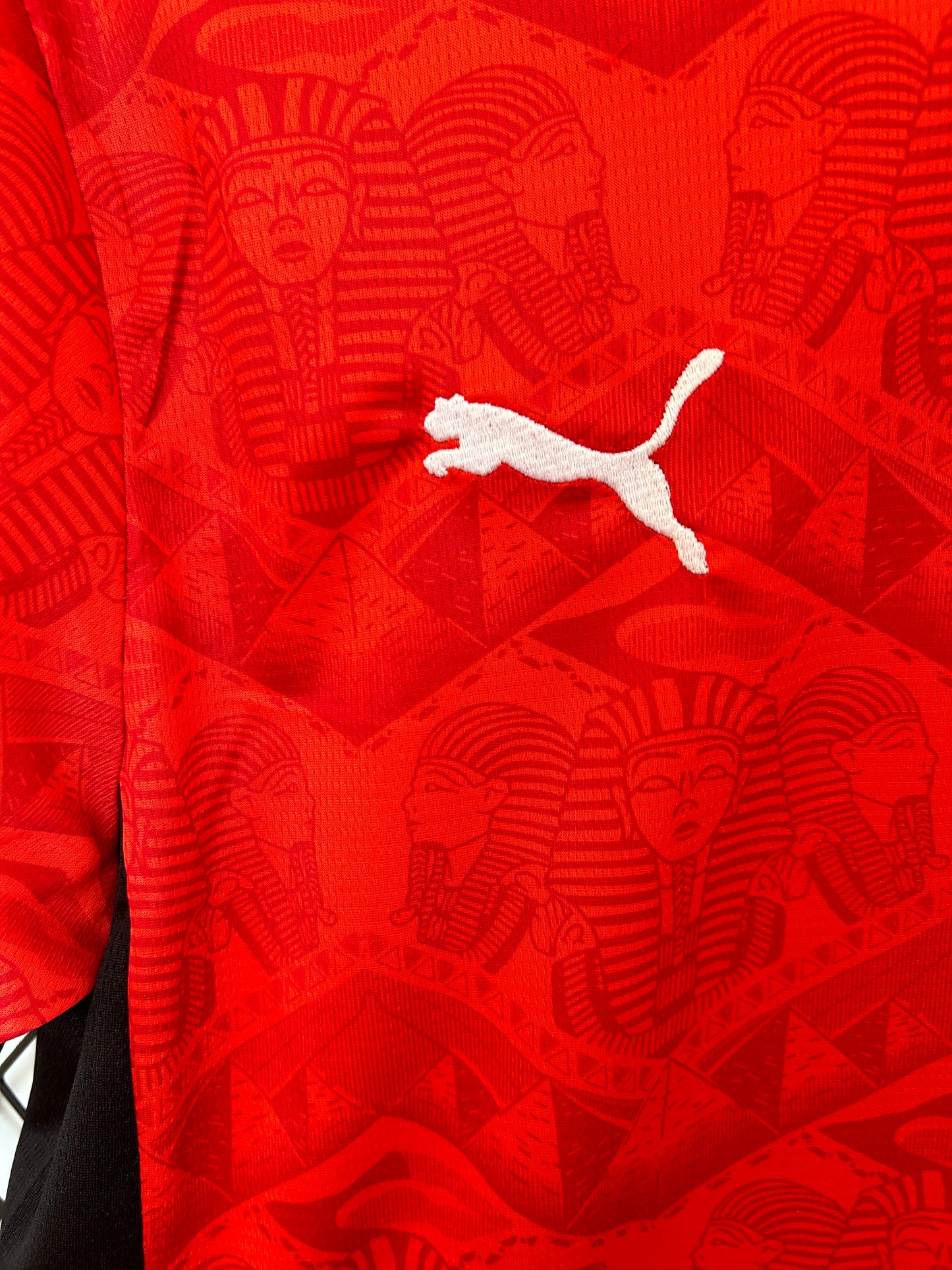 Egipto – Camiseta Titular (PUMA)