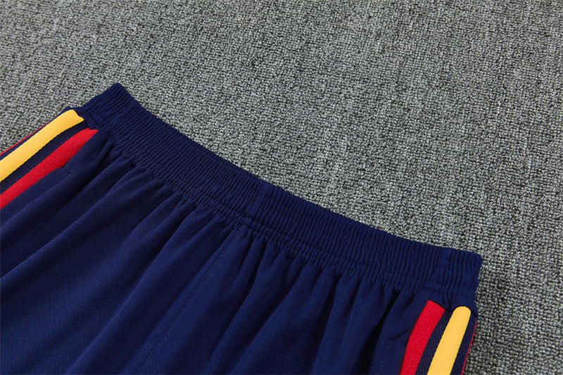 Conjunto España Entrenamiento Multicolor 26/27
