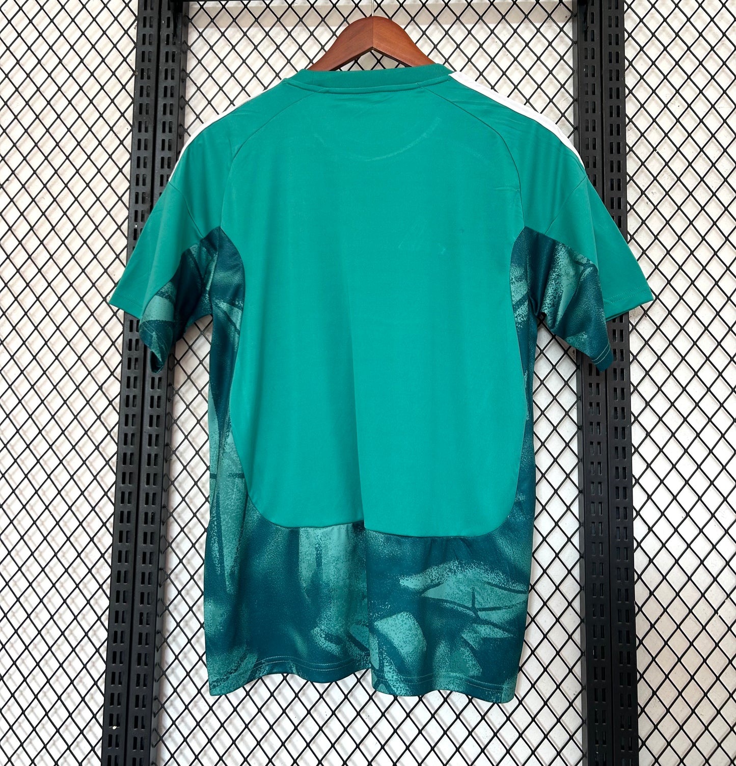 Camiseta Alemania 2025/2026 Alternativa – Verde Oficial