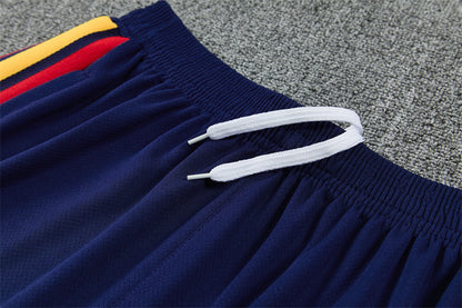 Conjunto España Entrenamiento Multicolor 26/27