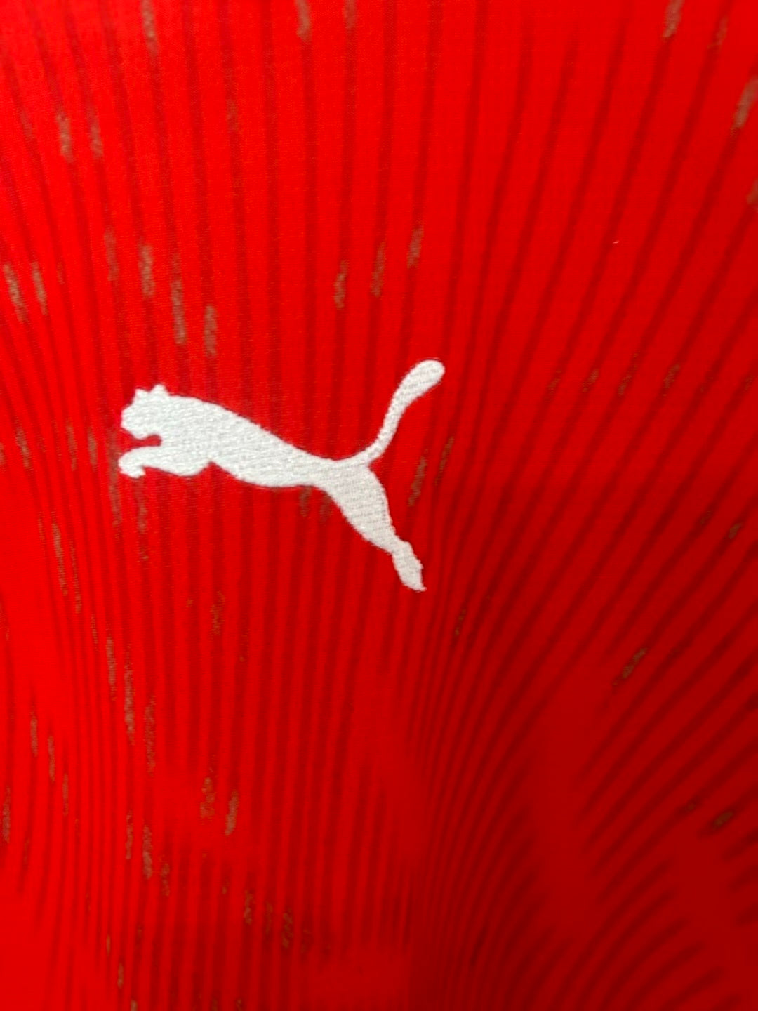 Camiseta Suiza 2025/2026 Local – Roja Oficial