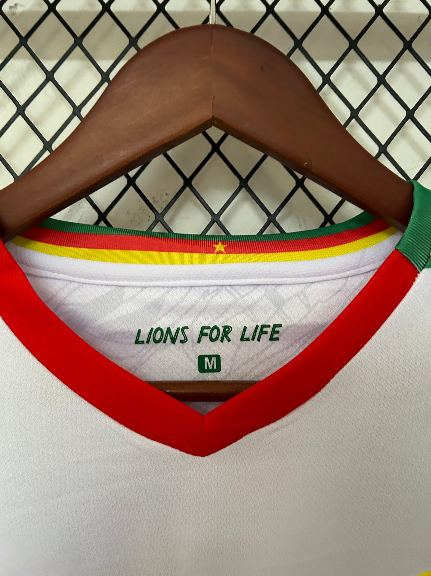 CAMERÚN 2025 – CAMISETA ALTERNATIVA