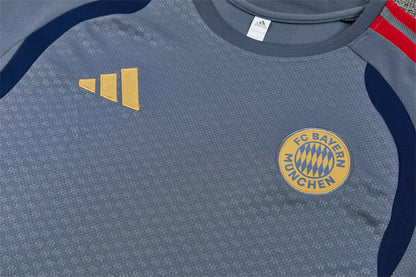 Conjunto Bayern Múnich Entrenamiento Gris 26/27