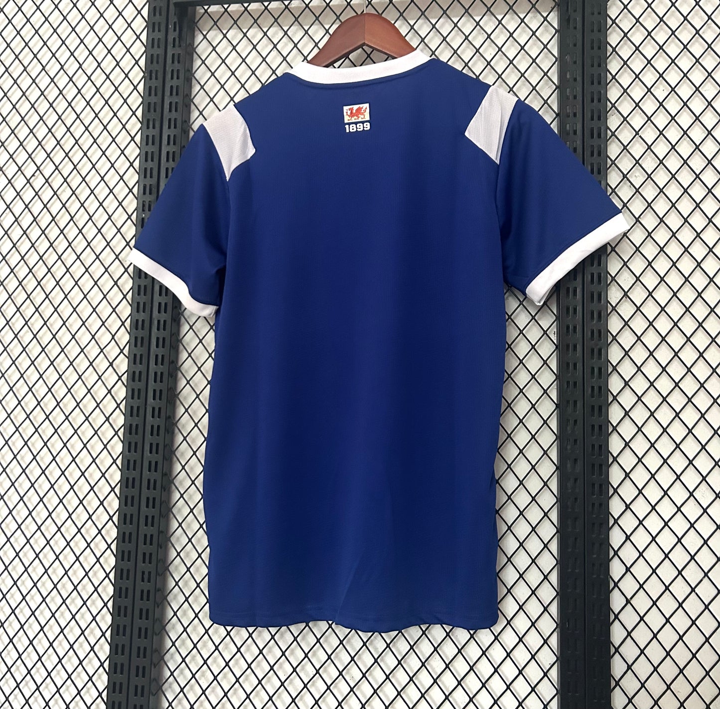 Camiseta Cardiff City 26/27 Local Azul – Castore