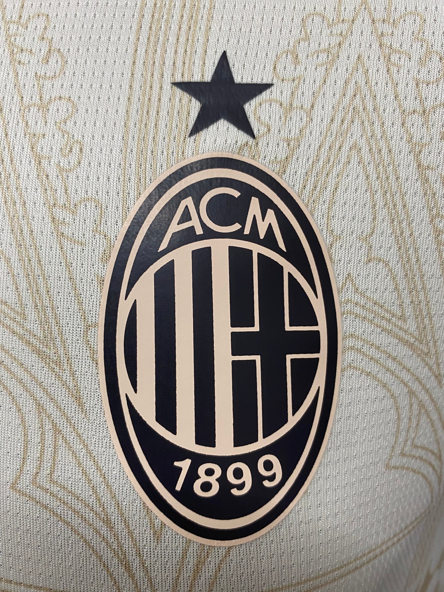 Camiseta Alternativa AC Milan 2024/2025 - Edición Especial