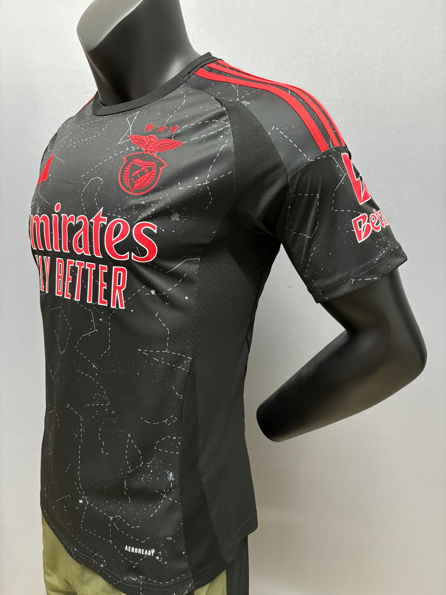 Camiseta Alternativa Benfica 2024/2025